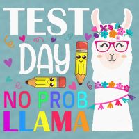funny Test Day No Prob-llama Llama Teacher Sueded Cloud Jersey T-Shirt