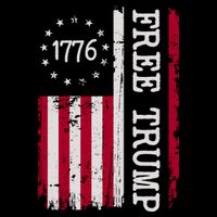 Free Trump Destressed 1776 Betsy Ross USA Flag 16 in Basic Backpack