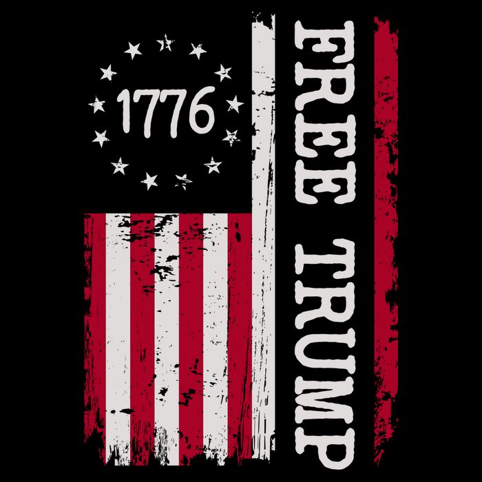 Free Trump Destressed 1776 Betsy Ross USA Flag 16 in Basic Backpack