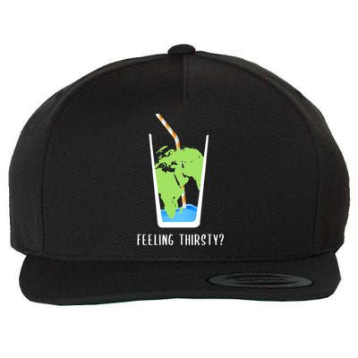 Feeling Thirsty Earth Runs Out Of Water Save Water Supply Gift Wool Snapback Cap