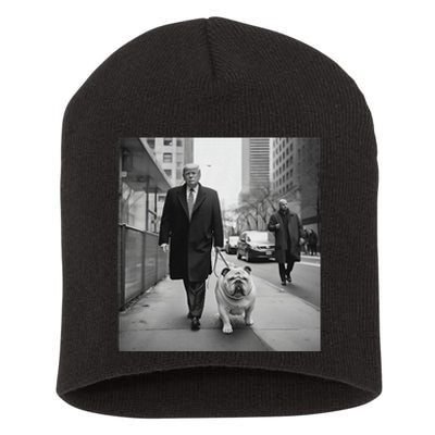 Funny Trump English Bulldog Downtown Funny Political Short Acrylic Beanie