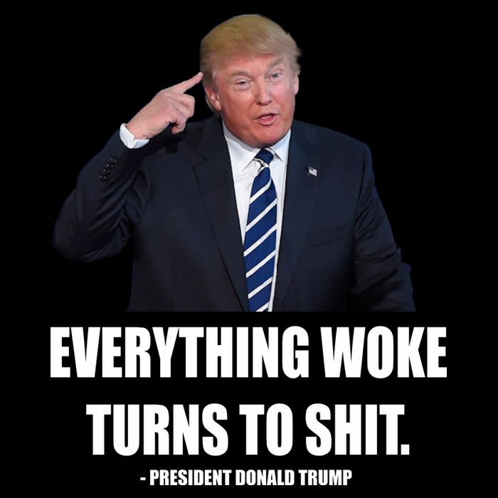 Funny Trump Everything Woke Turns To Shit Quote City Backpack