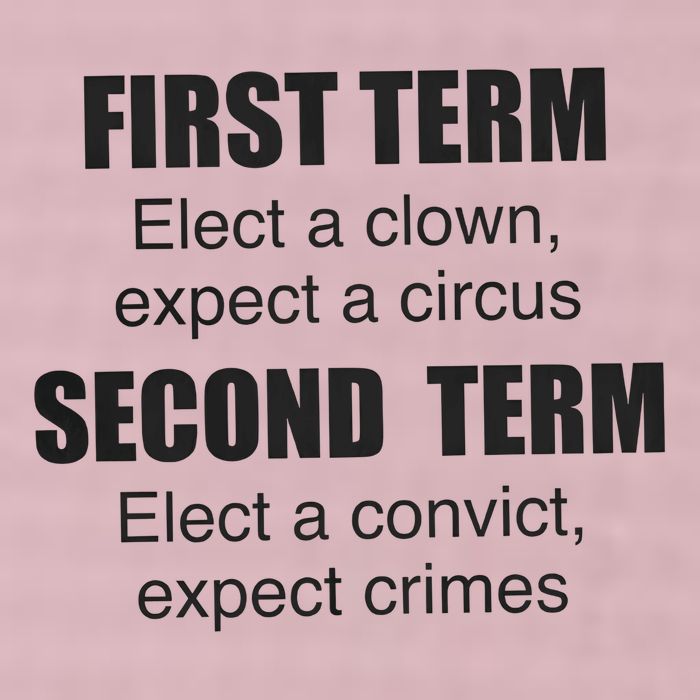 First Term Elect A Clown Expect A Circus Second Term Elect A Convict Expect Cri 25L Jumbo Tote
