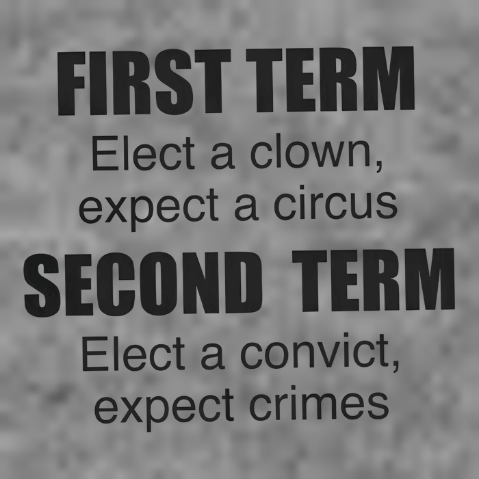 First Term Elect A Clown Expect A Circus Second Term Elect A Convict Expect Cri 7-Panel Snapback Hat