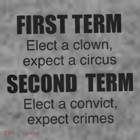 First Term Elect A Clown Expect A Circus Second Term Elect A Convict Expect Cri Toddler Hoodie