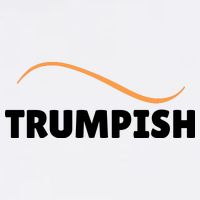 Funny TRUMPISH Bucket Hat