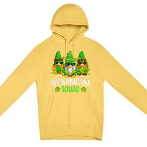 Funny Time For Shenanigans Squad St Patricks Day Gnomes Premium Pullover Hoodie