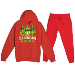 Funny Time For Shenanigans Squad St Patricks Day Gnomes Premium Hooded Sweatsuit Set