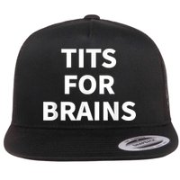 Funny Tits For Brains Sarcasm Saying Feminist Flat Bill Trucker Hat