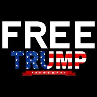 Free Trump, Free Donald Trump 2024 16 in Basic Backpack