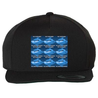 Funny That Feeling When Knee Surgery Is Tomorrow Meme Wool Snapback Cap