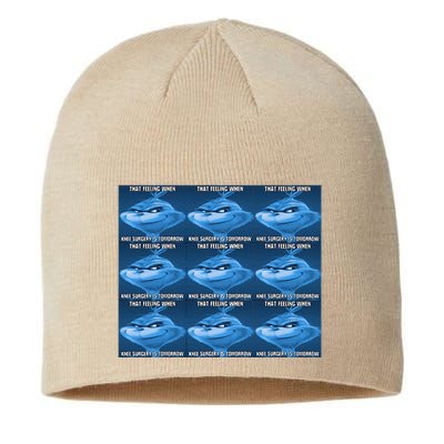 Funny That Feeling When Knee Surgery Is Tomorrow Meme Sustainable Beanie