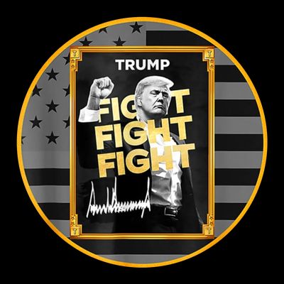 Funny Trump Fight Meme Coin Crypto President T-Shirt