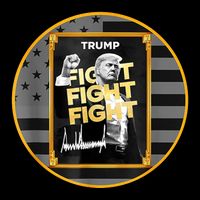 Funny Trump Fight Meme Coin Crypto President 16 in Basic Backpack
