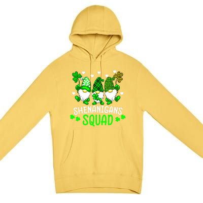 Funny Time For Shenanigans Squad St Patrick's Day Gnomes Premium Pullover Hoodie