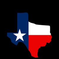 Funny Texaholic 16 in Basic Backpack