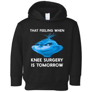 Funny That Feeling When Knee Surgery Is Tomorrow Meme Toddler Hoodie