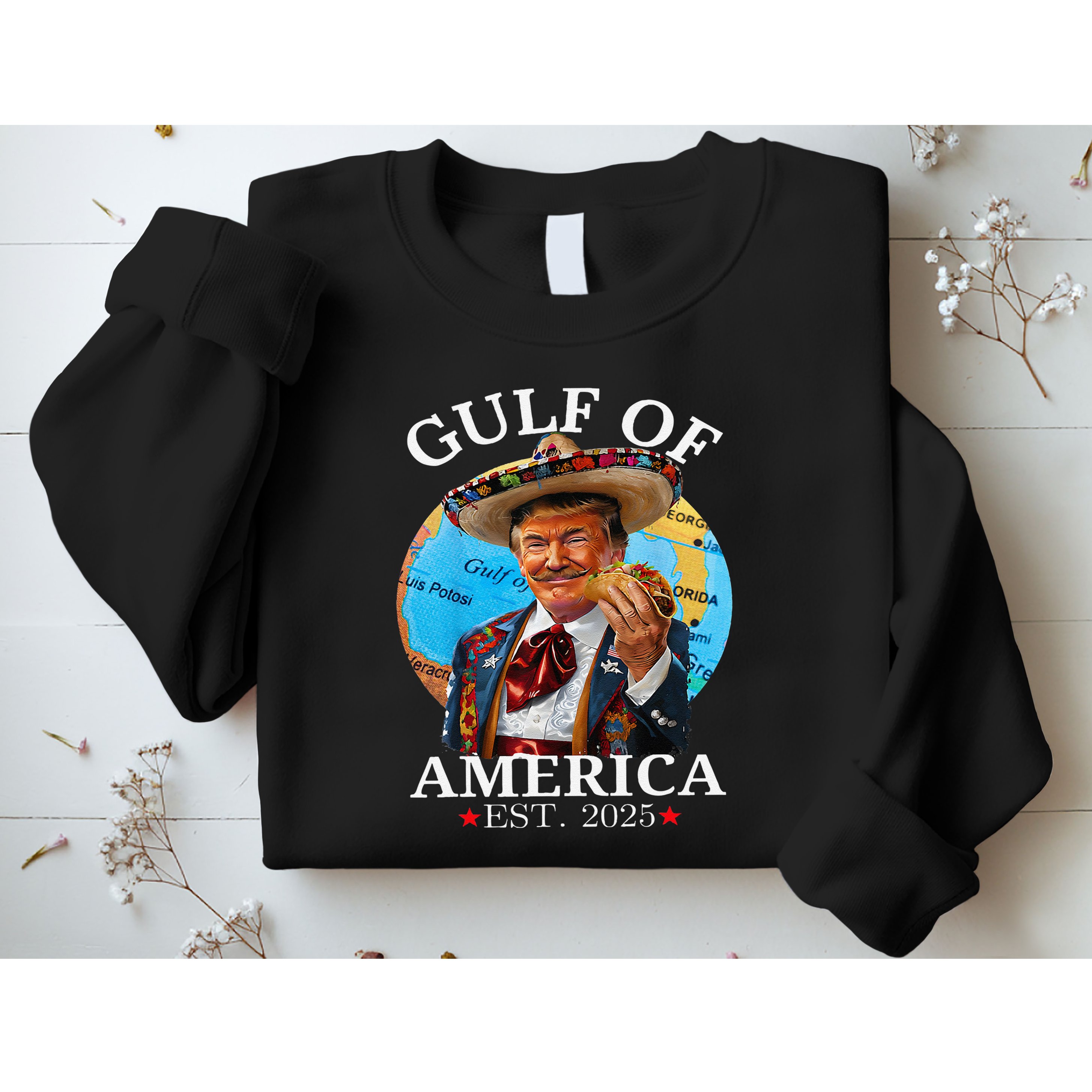 Funny Trump Gulf Of Us America 2025 Trump Merchandise .Png Sweatshirt