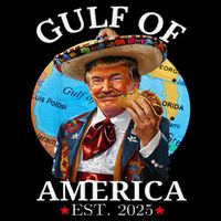Funny Trump Gulf Of Us America 2025 Trump Merchandise .Png Flatbill Hat