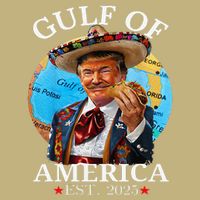 Funny Trump Gulf Of Us America 2025 Trump Merchandise .Png T-Shirt