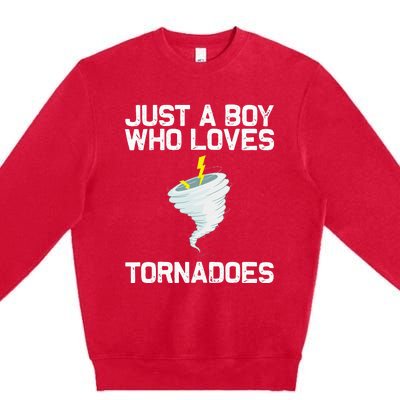 Funny Tornado Gift For Kids Hurricane Weather Chaser Premium Crewneck Sweatshirt