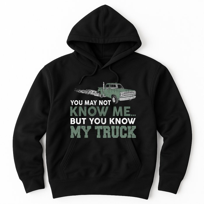 Funny Trucker Gift Do Not Touch My Truck Hoodie