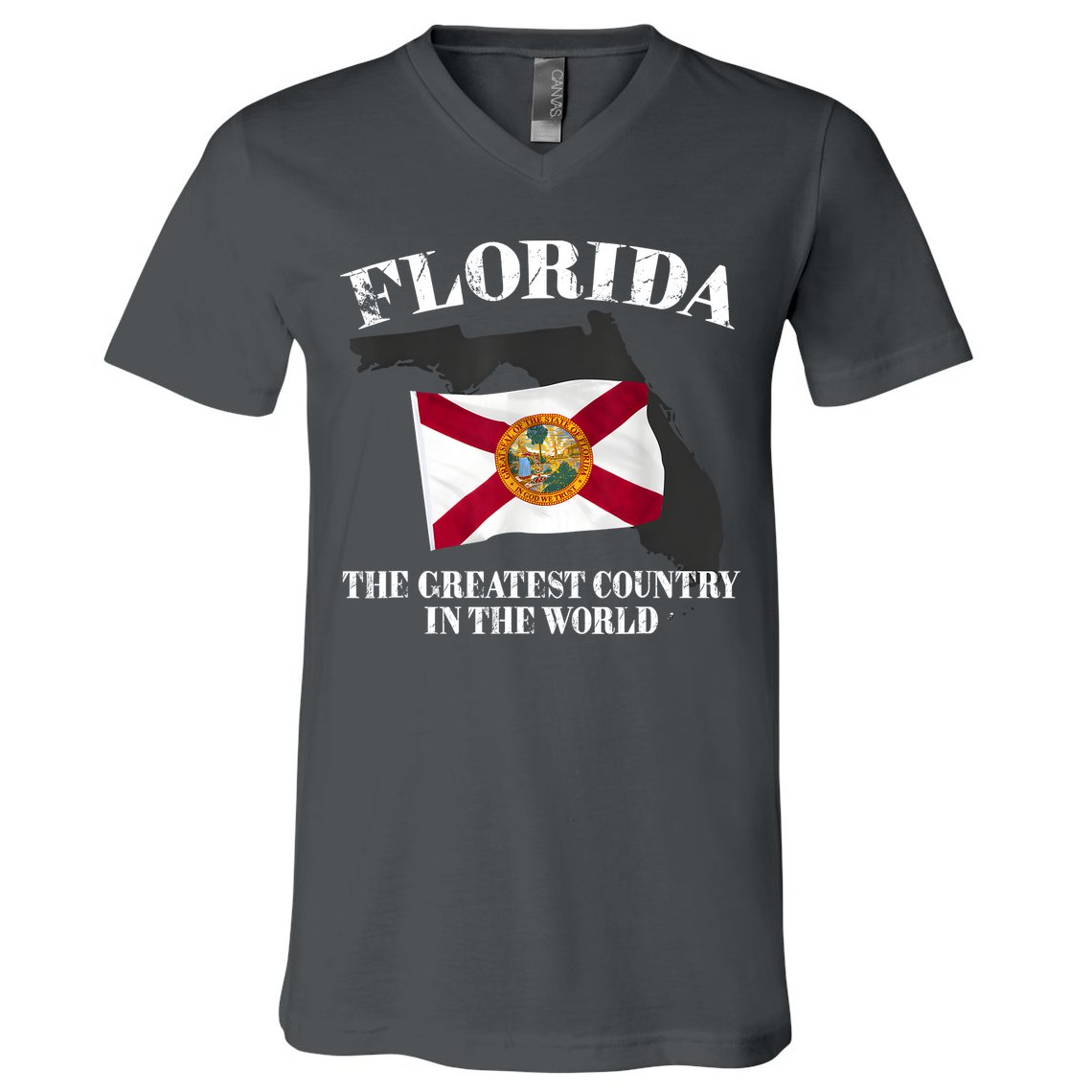 Florida The Greatest Country In The World V-Neck T-Shirt