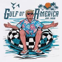 Funny Trump Gulf Of Us America 2025 Trump Merchandise Cooling Performance Crew T-Shirt