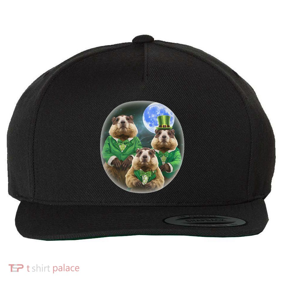 Funny Three Groundhog Moon 3 Groundhog Head St Patricks Day Wool Snapback Cap