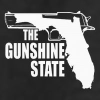 Florida The Gunshine State Adult Drive Performance Visor
