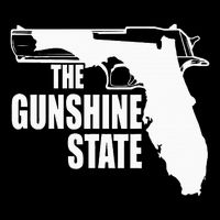 Florida The Gunshine State 16 in Basic Backpack