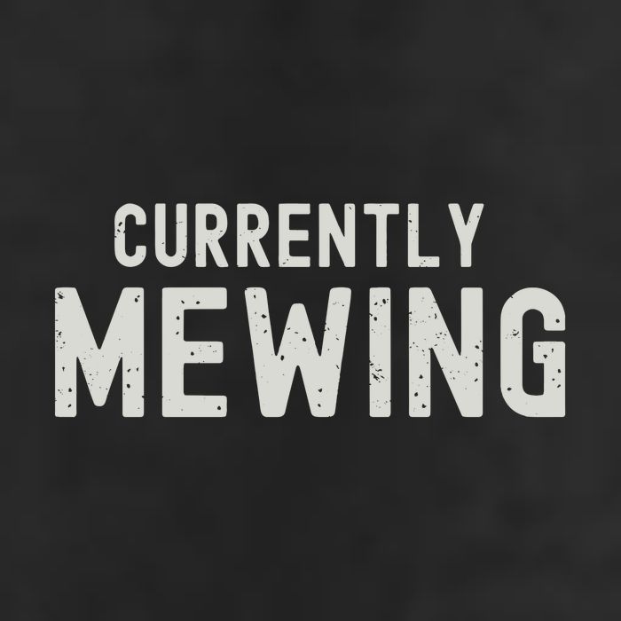 Funny That Go Hard Currently Mewing Garment-Dyed Fleece Hoodie