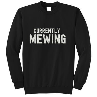 Funny That Go Hard Currently Mewing Sweatshirt
