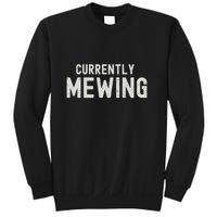 Funny That Go Hard Currently Mewing Sweatshirt