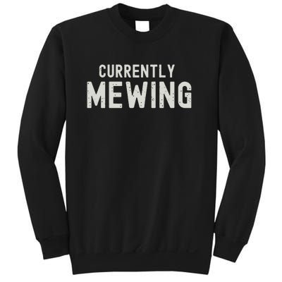 Funny That Go Hard Currently Mewing Sweatshirt