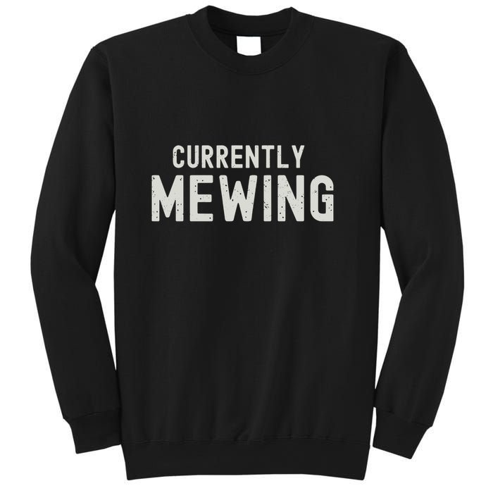 Funny That Go Hard Currently Mewing Sweatshirt