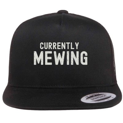 Funny That Go Hard Currently Mewing Flatbill Hat