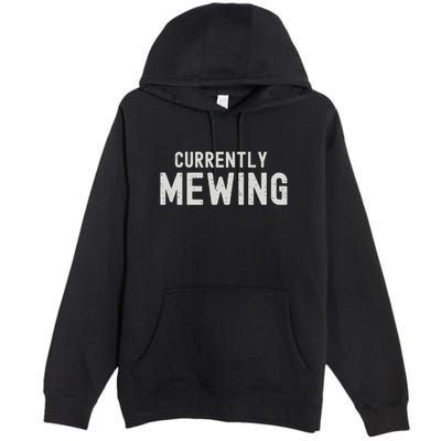 Funny That Go Hard Currently Mewing Premium Pullover Hoodie