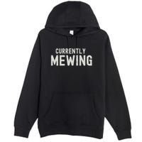 Funny That Go Hard Currently Mewing Premium Pullover Hoodie