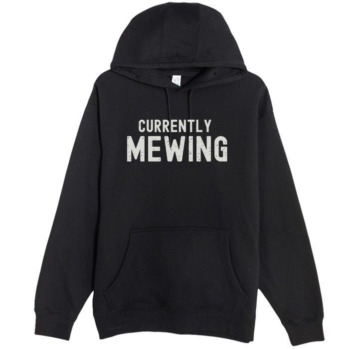 Funny That Go Hard Currently Mewing Premium Pullover Hoodie