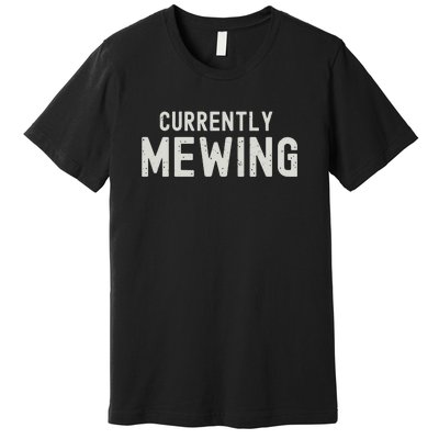 Funny That Go Hard Currently Mewing Premium T-Shirt