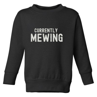 Funny That Go Hard Currently Mewing Toddler Sweatshirt