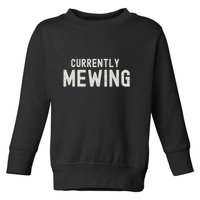 Funny That Go Hard Currently Mewing Toddler Sweatshirt
