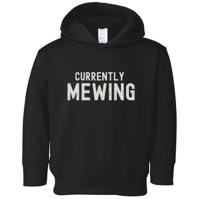 Funny That Go Hard Currently Mewing Toddler Hoodie