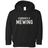Funny That Go Hard Currently Mewing Toddler Hoodie
