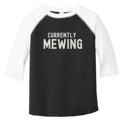 Funny That Go Hard Currently Mewing Toddler Fine Jersey T-Shirt