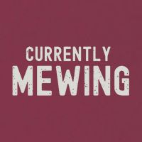 Funny That Go Hard Currently Mewing 16oz Travel Tumbler