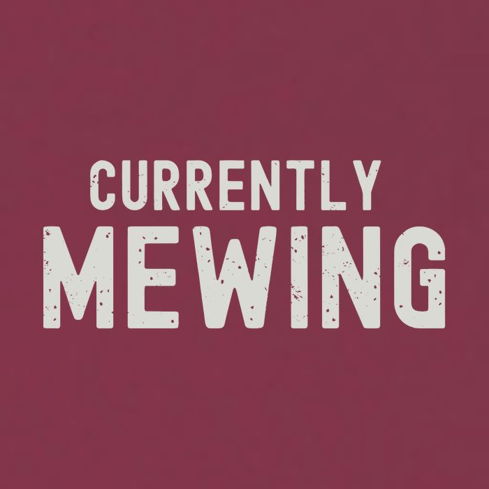 Funny That Go Hard Currently Mewing 16oz Travel Tumbler