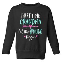 First Time Grandma Let The Spoiling Begin New 1st Time Toddler Sweatshirt