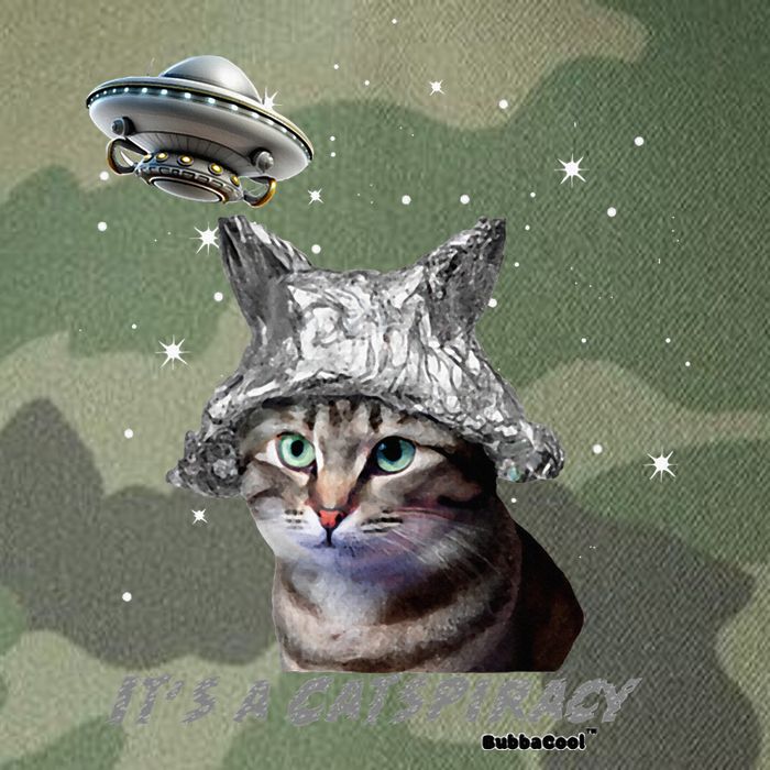 Funny Tinfoil Hat Cat Lover Legacy Tie Dye Trucker Hat